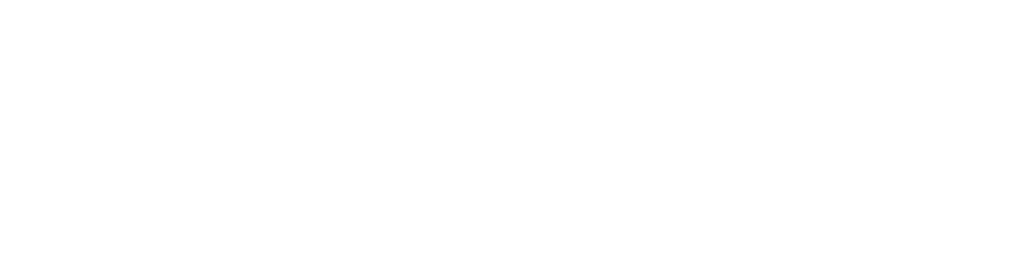 Directline Couriers LLC logo